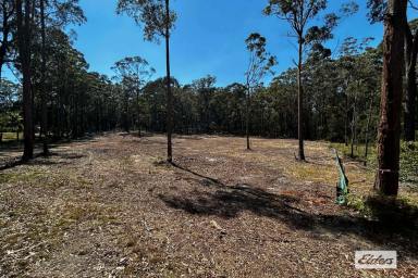 Residential Block For Sale - NSW - Wallagoot - 2550 - One of Natures Best Vacant Lots  (Image 2)