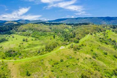 Acreage/Semi-rural For Sale - NSW - Georgica - 2480 - Beautiful Valley Parcel of Land for Sale with Two Titles! Owner committed elsewhere  (Image 2)