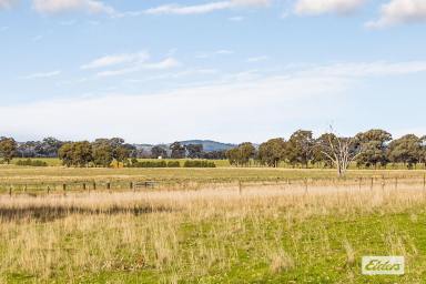 Acreage/Semi-rural For Sale - VIC - Toolleen - 3551 - 166 Ac / 67 Ha with Spectacular Views  (Image 2)