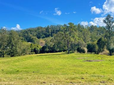 Mixed Farming Sold - NSW - Kyogle - 2474 - CRYSTAL CLEAR CREEK FRONTAGE  (Image 2)