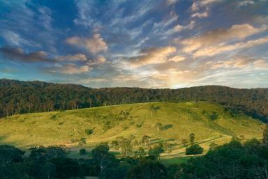 House For Sale - QLD - Belli Park - 4562 - Exquisite 40-Acre Property with Stylish New Home and Spectacular Views  (Image 2)