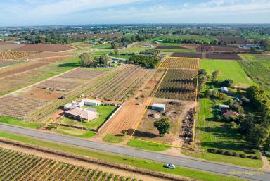 Horticulture For Sale - VIC - Irymple - 3498 - 4 Acres to Build The Dream!  (Image 2)