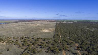 Industrial/Warehouse Sold - VIC - Koorlong - 3501 - Prime Industrial Land Opportunity: 60 Acres of Potential  (Image 2)