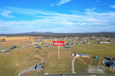 Residential Block Sold - QLD - Curra - 4570 - THE SEARCH IS OVER!  (Image 2)
