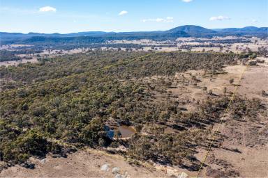 Farmlet For Sale - NSW - Rylstone - 2849 - Enchanting Rural Escape  (Image 2)