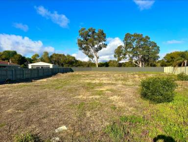 Residential Block Sold - WA - Connolly - 6027 - HUGE 736sqm BLOCK!!!  (Image 2)
