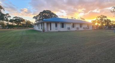 Lifestyle Sold - QLD - Gracemere - 4702 - Lifestyle and Room to Move in Quality Area  (Image 2)