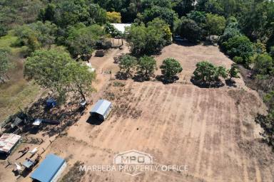 Acreage/Semi-rural For Sale - QLD - Mareeba - 4880 - OPPORTUNITY BLOCK - CLOSE TO CBD  (Image 2)