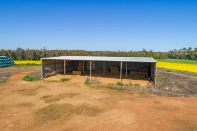 Lifestyle Sold - NSW - Canowindra - 2804 - Riverfrontage Irrigation Country  (Image 2)