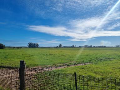 Residential Block Sold - WA - Cookernup - 6219 - Prime Beef Grazing Country  (Image 2)