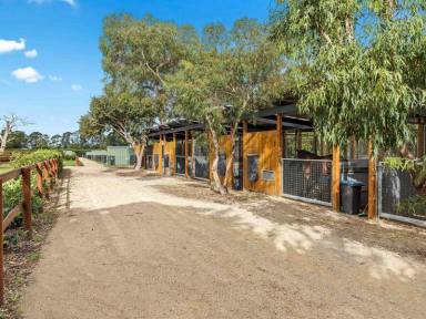 Lifestyle Sold - VIC - Moorooduc - 3933 - Equine Quarantine & Veterinary Facility / Lifestyle Property  (Image 2)