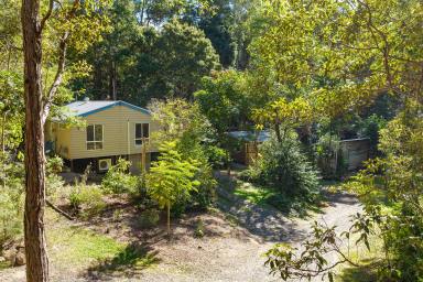 House Sold - QLD - Eumundi - 4562 - Character Home Surrounded by Natural Beauty  (Image 2)