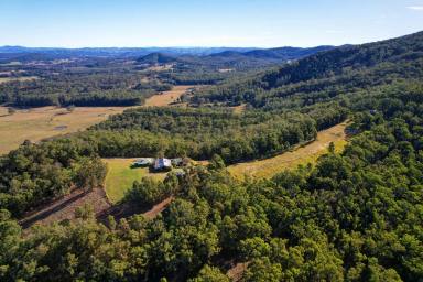 Lifestyle For Sale - NSW - Nabiac - 2312 - Off- Grid Rural Seclusion with 360- Degree Scenic Views  (Image 2)