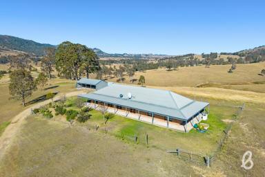 Other (Rural) Sold - NSW - Singleton - 2330 - Rural homestead with amazing views!  (Image 2)