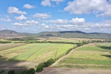 Other (Rural) For Sale - QLD - Shirbourne - 4809 - 119 Acre Sugarcane/Grazing Property with 2 Houses & Machinery  (Image 2)