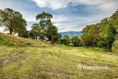 Residential Block Sold - VIC - Yarra Junction - 3797 - VIEWS FOR DAYS!  (Image 2)