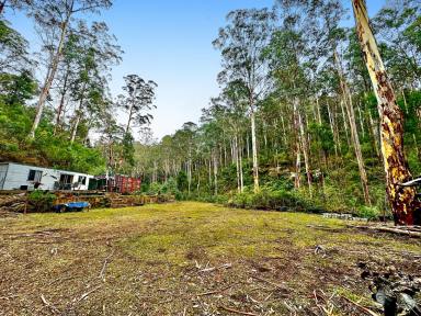 Lifestyle Sold - NSW - Laguna - 2325 - Wilderness Weekender Retreat  (Image 2)