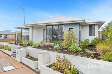 House Sold - WA - Ellenbrook - 6069 - Elevated Style, Unbeatable Convenience!  (Image 2)
