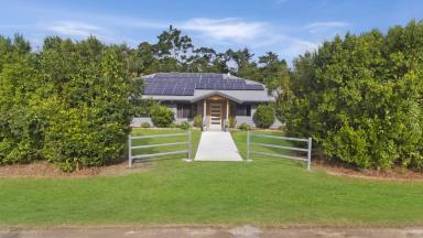Acreage/Semi-rural Sold - QLD - Aloomba - 4871 - Most Beautiful Home in Aloomba - 10x18 metre Shed - 3 Acres  (Image 2)