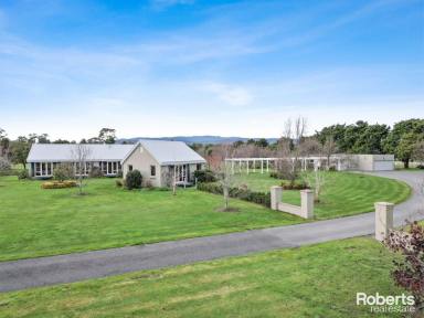 House For Sale - TAS - Relbia - 7258 - 'KNOX HILL' - A STYLISH HOMESTEAD IN PICTURESQUE RELBIA  (Image 2)