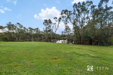 House Sold - VIC - Sedgwick - 3551 - Unrivalled Sedgwick Serenity On A Breathtaking 8.5 Acre Parcel of Perfection  (Image 2)
