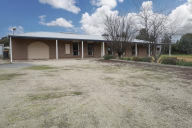 House Sold - VIC - Swan Hill - 3585 - Stellar Opportunity!  (Image 2)