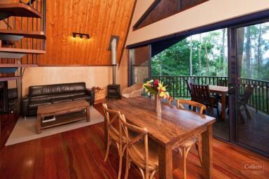 Business For Sale - QLD - Butchers Creek - 4885 - Outstanding Ecotourism Opportunity  (Image 2)