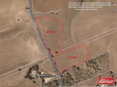 Residential Block For Sale - SA - Gawler - 5118 - WHICH ONE WILL YOU CHOOSE TO LIVE THE COUNTRY LIFESTYLE  (Image 2)