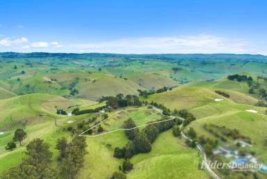 Other (Rural) For Sale - VIC - Mountain View - 3988 - SPECTACULAR MOUNTAIN VIEW  (Image 2)