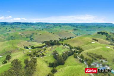 Other (Rural) For Sale - VIC - Mountain View - 3988 - SPECTACULAR MOUNTAIN VIEW  (Image 2)