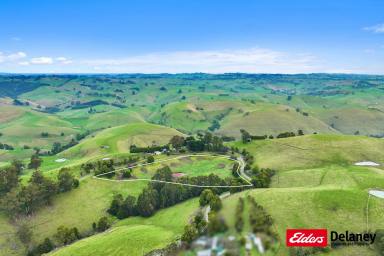 Other (Rural) For Sale - VIC - Mountain View - 3988 - SPECTACULAR MOUNTAIN VIEW  (Image 2)