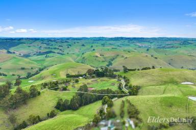 Other (Rural) For Sale - VIC - Mountain View - 3988 - SPECTACULAR MOUNTAIN VIEW  (Image 2)