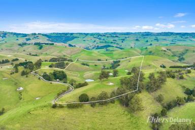 Other (Rural) For Sale - VIC - Mountain View - 3988 - SOLID COUNTRY RESIDENCE ON 84 ACRES GRAZING  (Image 2)