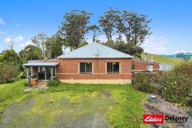 Other (Rural) For Sale - VIC - Mountain View - 3988 - SOLID COUNTRY RESIDENCE ON 84 ACRES GRAZING  (Image 2)