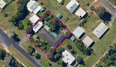 House For Sale - QLD - Cardwell - 4849 - Topical oasis in town! Large 4 bedroom 2 bathroom home with a 4 bay high clearance shed  (Image 2)