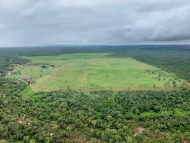 Livestock For Sale - NT - Claravale - 0822 - Pastoral Property in High Rainfall Zone  (Image 2)
