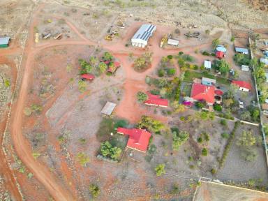 Mixed Farming Sold - NT - Anmatjere - 0872 - Cattle Breeding & Fodder Production Opportunity  (Image 2)