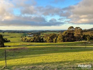 Lifestyle For Sale - TAS - Upper Natone - 7321 - Ideal for animals and enjoying the rural landscape  (Image 2)