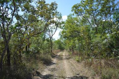 Acreage/Semi-rural Sold - NT - Darwin River - 0841 - 160 Acres  opportunity  (Image 2)