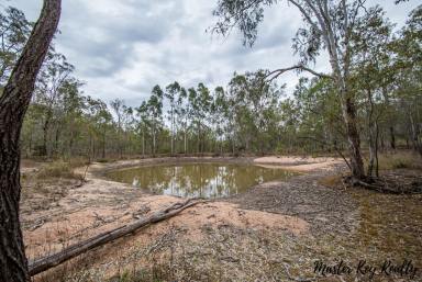 Lifestyle Sold - QLD - Coverty - 4613 - Home among the gum trees  (Image 2)