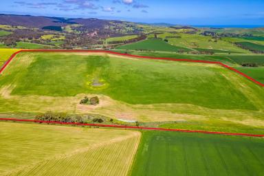 Cropping For Sale - SA - Hay Flat - 5204 - Prime Lifestyle/Rural Land in Hay Flat  (Image 2)