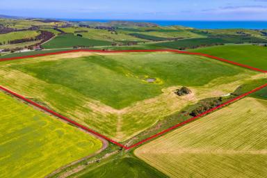 Cropping For Sale - SA - Hay Flat - 5204 - Prime Lifestyle/Rural Land in Hay Flat  (Image 2)