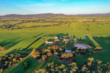 Mixed Farming Sold - VIC - Pomonal - 3381 - "Greenhills" - The Jewel In The Grampians Crown!  (Image 2)