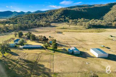 Other (Rural) Sold - NSW - Martindale - 2328 - BYLONG PARK | VERSATILE RURAL HOLDING WITH EQUINE FACILITIES  (Image 2)