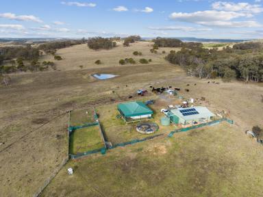 Lifestyle Sold - NSW - Marulan - 2579 - Great Country, Multiple Uses  (Image 2)