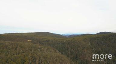 Residential Block Sold - TAS - Colebrook - 7027 - Colebrook Bush Escape  (Image 2)