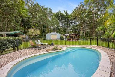 House Sold - QLD - Verrierdale - 4562 - Tudor Style Cottage Oozing With Charm  (Image 2)