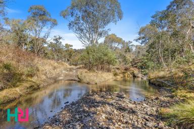 Residential Block For Sale - NSW - Portland - 2847 - "Wattlemount Rise" - 419 Acres (169 Hectares)  (Image 2)