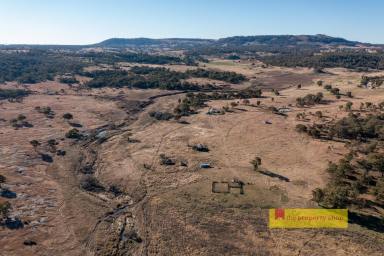Lifestyle Sold - NSW - Rylstone - 2849 - AVAILABLE IN ONE LINE OR AS THREE SEPARATE LOTS  (Image 2)