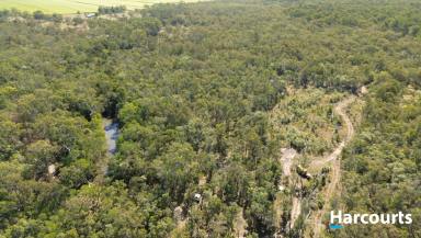 Residential Block Sold - QLD - Horton - 4660 - 152 ACRE BUSH RETREAT WITH GOOD WATER  (Image 2)